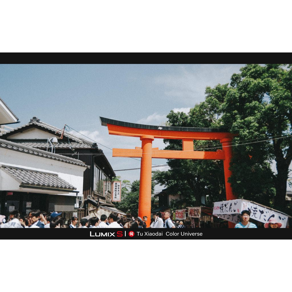 LUT | VOL.7 Kodak 5203 Film Look 🎞️ LUMIX LUT & LR • S5M2/X • S9 • G9M2 • GH7 【MICHIGO STUDIO】