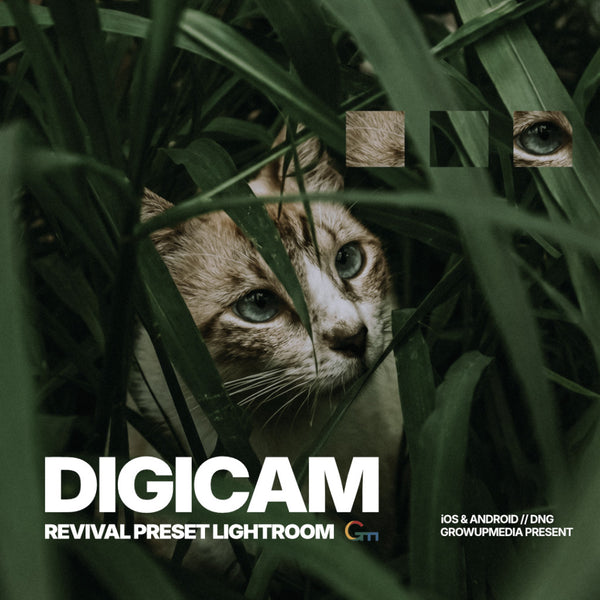 📸 PRESET LR | Digicam Revival 📷🔁 Android & iOS 【MICHIGO STUDIO】