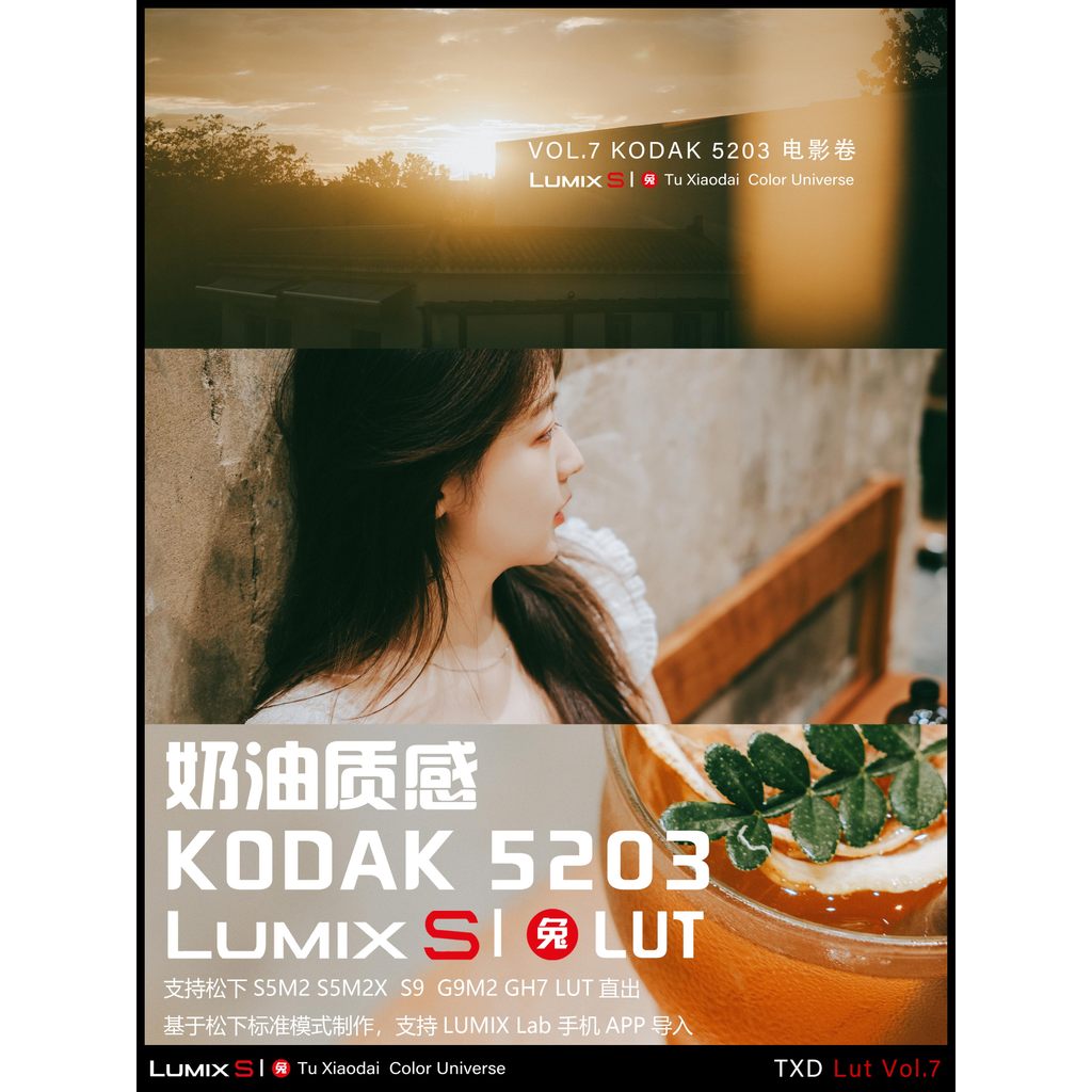 LUT | VOL.7 Kodak 5203 Film Look 🎞️ LUMIX LUT & LR • S5M2/X • S9 • G9M2 • GH7 【MICHIGO STUDIO】