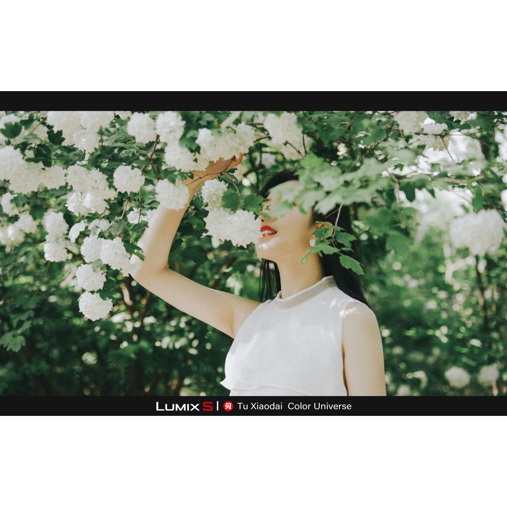LUT | VOL.7 Kodak 5203 Film Look 🎞️ LUMIX LUT & LR • S5M2/X • S9 • G9M2 • GH7 【MICHIGO STUDIO】