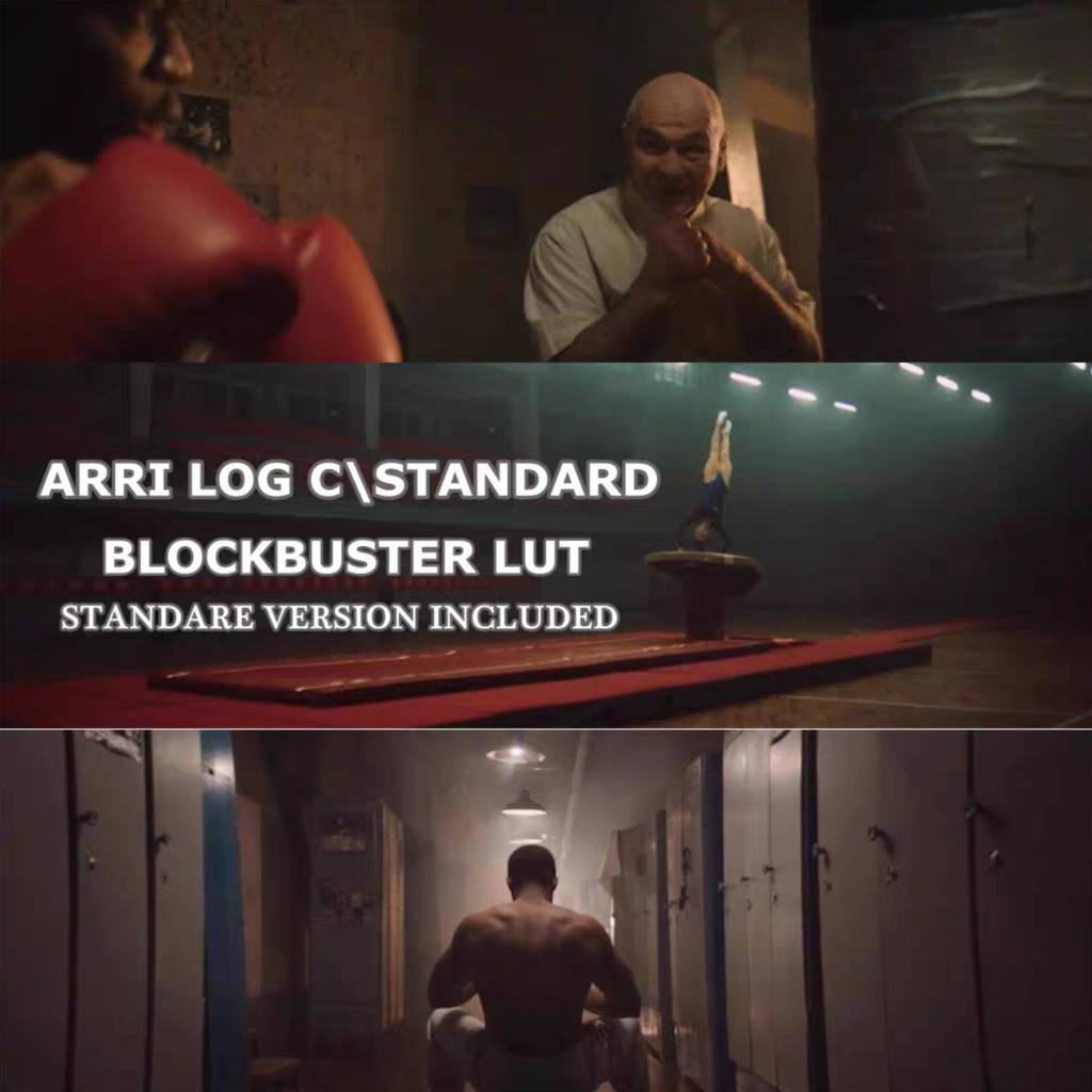 🎬 LUT | ARRI Log-C Professional Color LUTs • Log-C + Rec.709 • 56 Variants 【MICHIGO STUDIO】