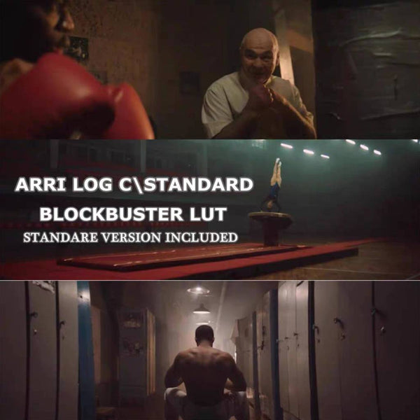 🎬 LUT | ARRI Log-C Professional Color LUTs • Log-C + Rec.709 • 56 Variants 【MICHIGO STUDIO】
