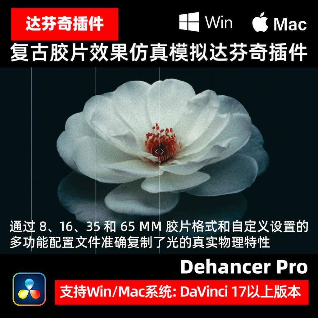 Dehancer Pro 7.3.6 Film Simulation Plugin for DaVinci/FCPX/AE/Pr/Ps/Lr 🎥🎨 [MICHIGO STUDIO]