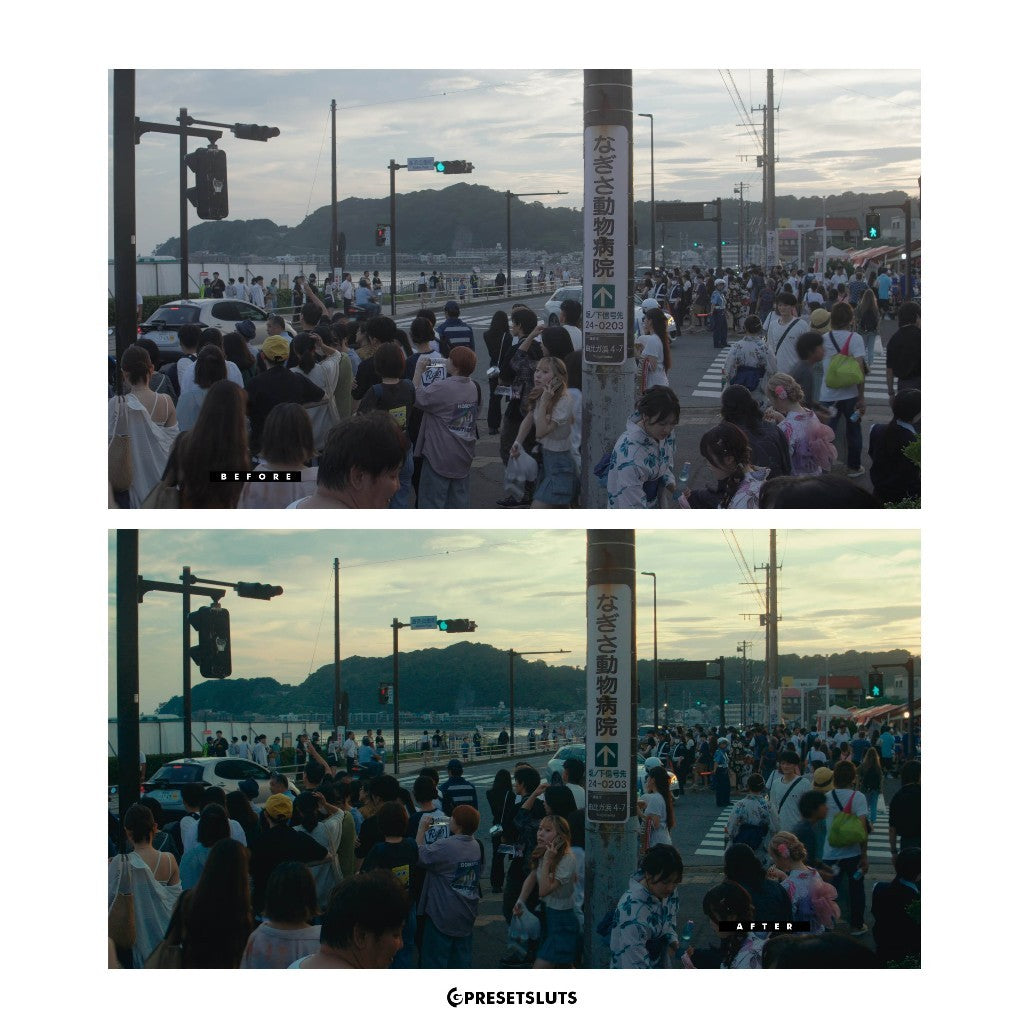 PRODHIPO LOOKILLA FILM LOOK EMULATION POWERGRADE DAVINCI RESOLVE[ MICHIGO STUDIO ]