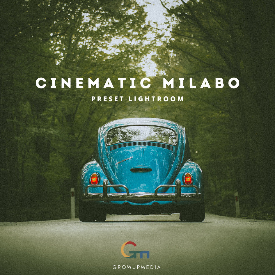 PRESET LIGHTROOM CINEMATIC MILABO AESTHETIC (ANDROID & IOS) presetlightroom[ MICHIGO STUDIO ]