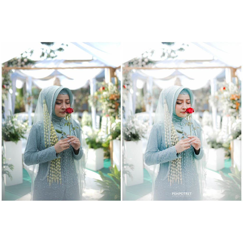 TONE PRESET PEHPOTRET[ MICHIGO STUDIO ]