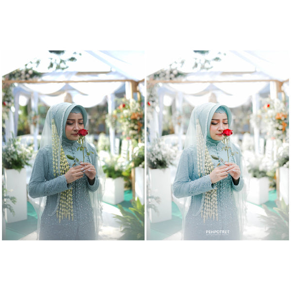 TONE PRESET PEHPOTRET[ MICHIGO STUDIO ]