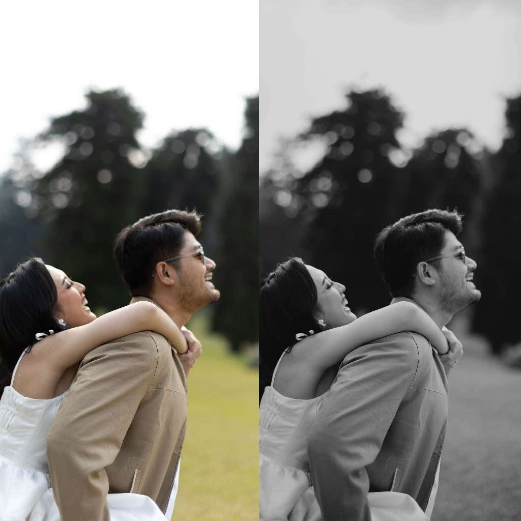 Preset Wedding Arief Motret Lightroom[ MICHIGO STUDIO ]