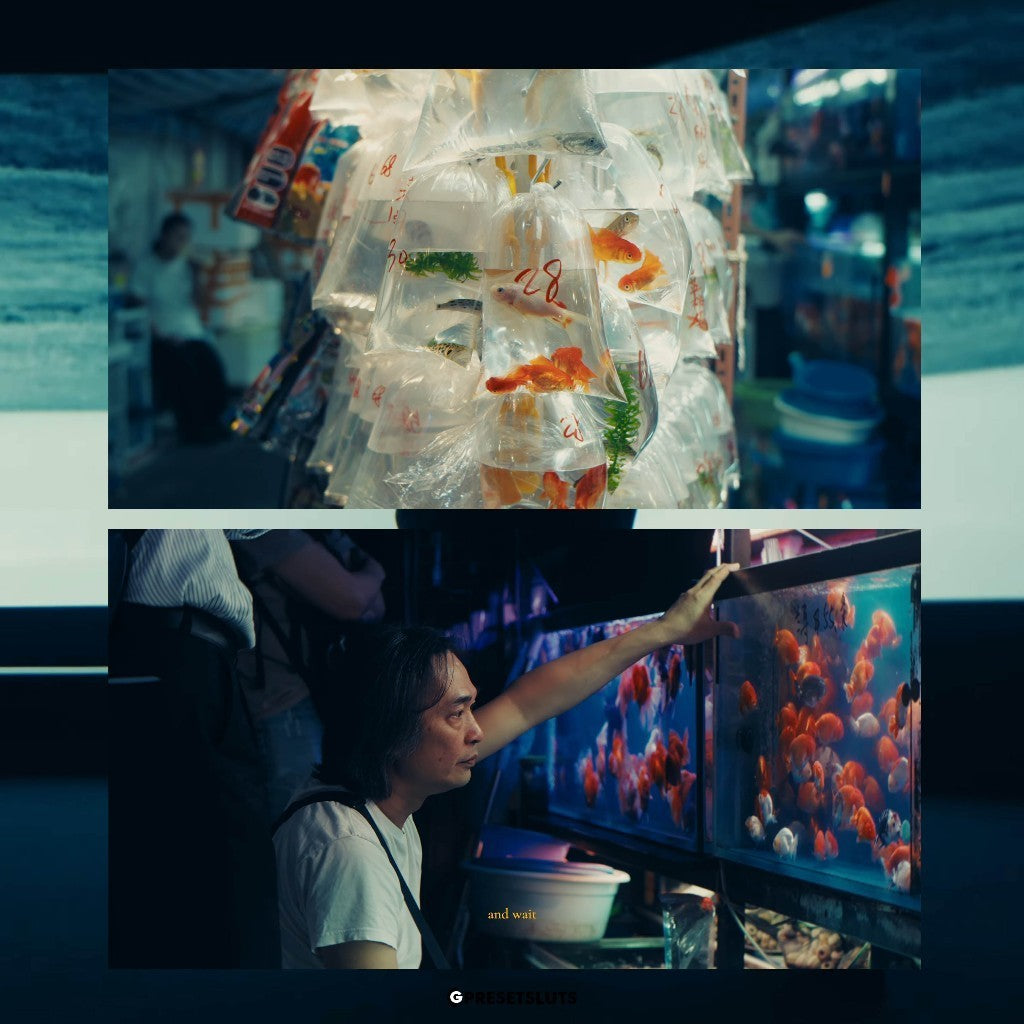 [NEW V2] REILIN JOEY - SECRET SAUCE MASTER COLLECTION | Adobe Premiere Davinci 600 [ MICHIGO STUDIO ]