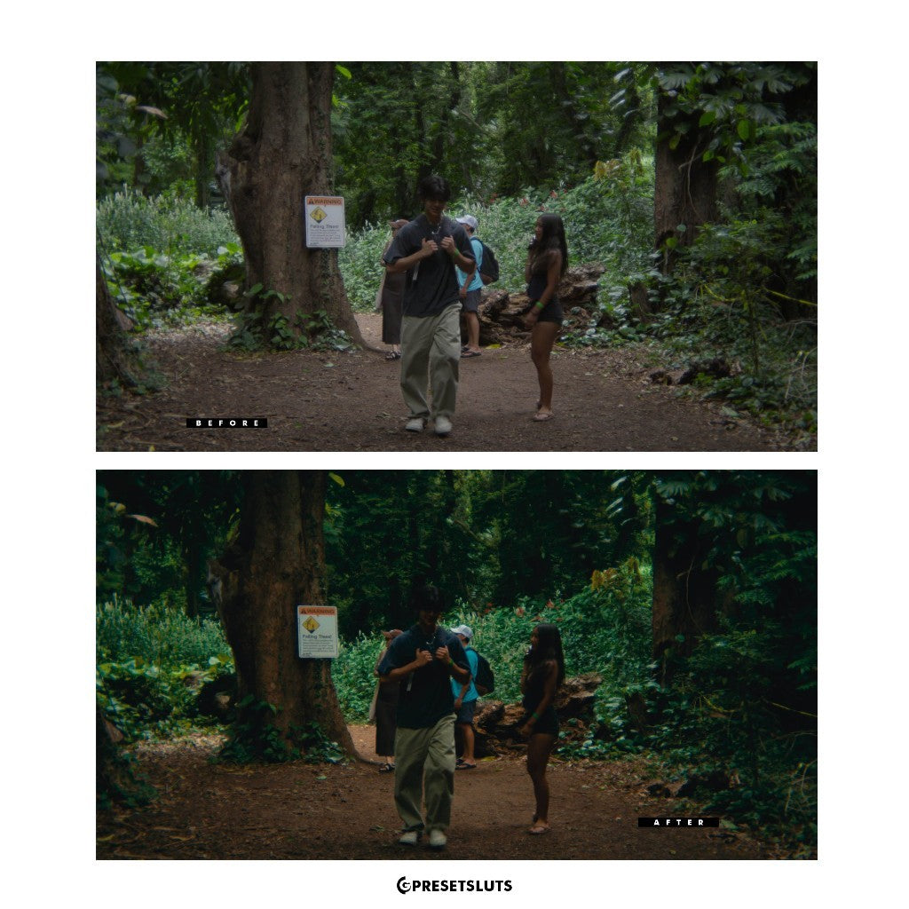 PRODHIPO LOOKILLA FILM LOOK EMULATION POWERGRADE DAVINCI RESOLVE[ MICHIGO STUDIO ]