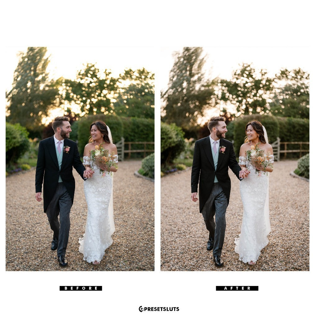 Versatile & Timeless Moon Pack II Lightroom Preset Mobile Desktop IOS Android[ MICHIGO STUDIO ]