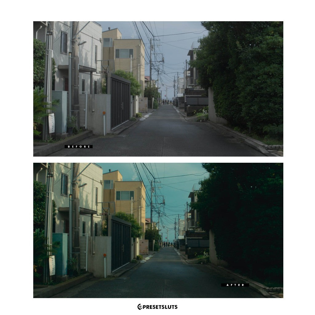 PRODHIPO LOOKILLA FILM LOOK EMULATION POWERGRADE DAVINCI RESOLVE[ MICHIGO STUDIO ]