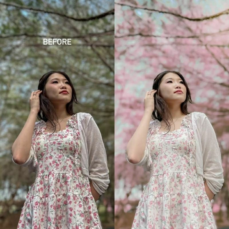 PRESET TONE PREWEDDING ALA JAPAN SAKURA NEW by Pradityaka[ MICHIGO STUDIO ]