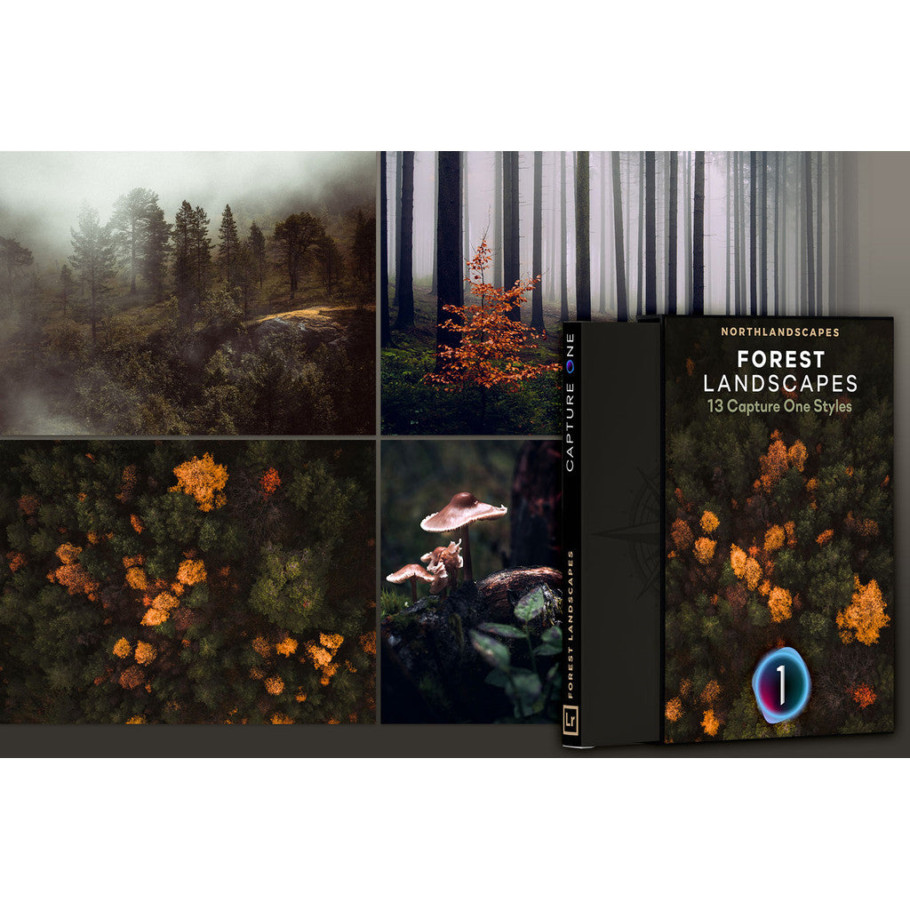 📸 C1 PRESET | Master Collection Capture One B&W, Forest & Landscape Travel Photography [ MICHIGO STUDIO ]