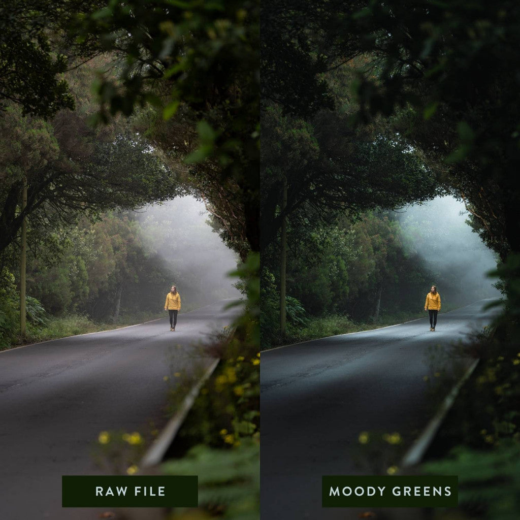 [Customer Request] Elements Presets Collection @Long.Explorer[ MICHIGO STUDIO ]
