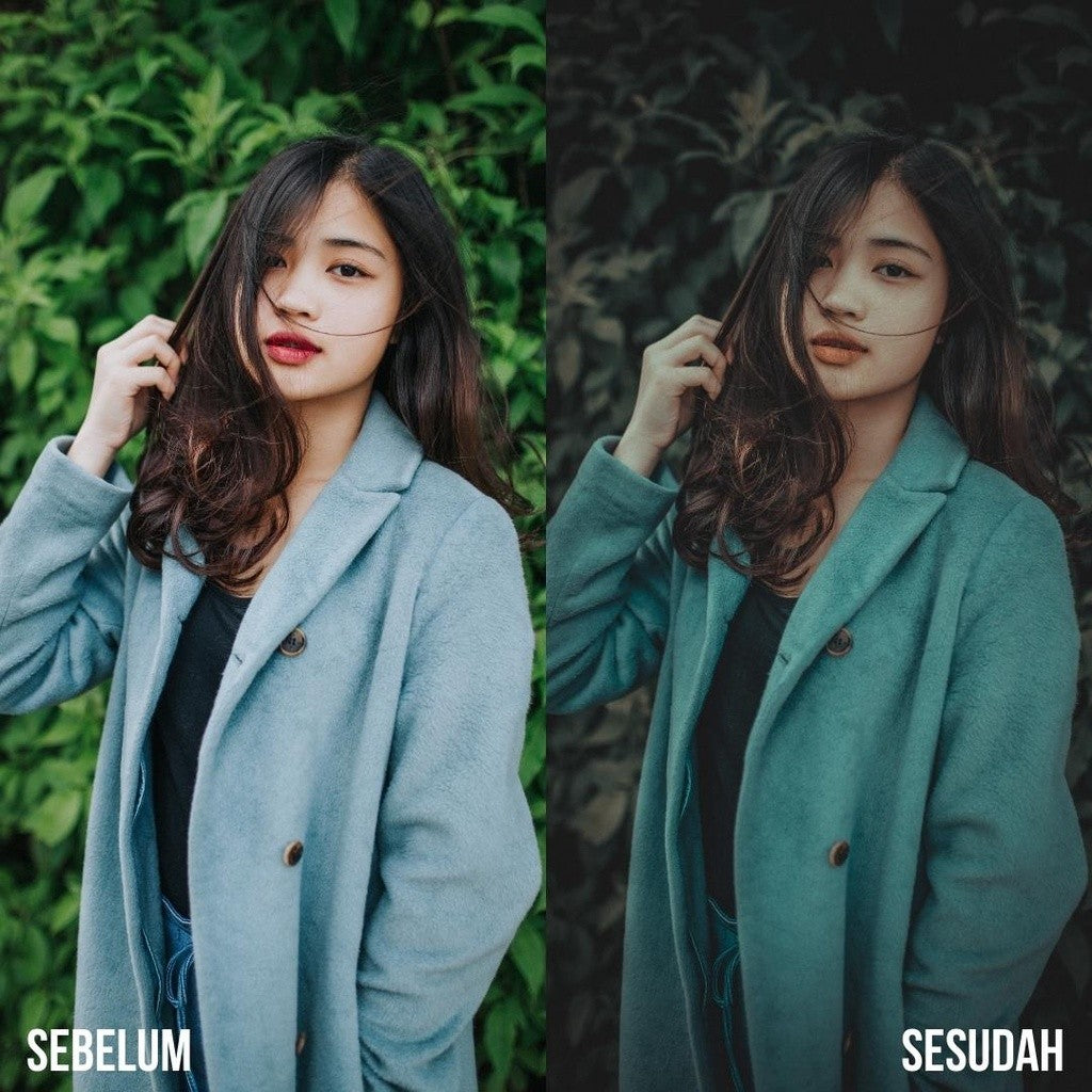 PRESET LIGHTROOM AESTHETIC JAPAN TONE PREMIUM Ver 1 (iOS & ANDROID) - BEST SELLER[ MICHIGO STUDIO ]