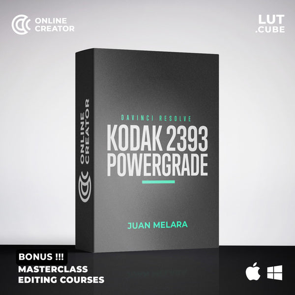 KODAK 2393 POWERGRADE[ MICHIGO STUDIO ]