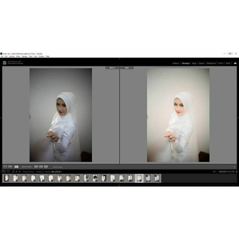 PRESET WDYATMOKO 2024 WEDDING BEST SELLER[ MICHIGO STUDIO ]