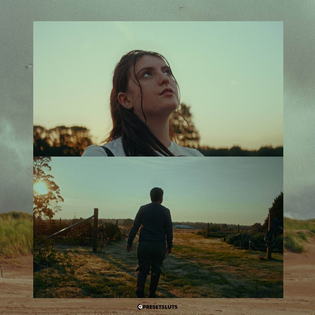 REALFILM POWERGRADE V2 DAVINCI RESOLVE MacOS Windows[ MICHIGO STUDIO ]