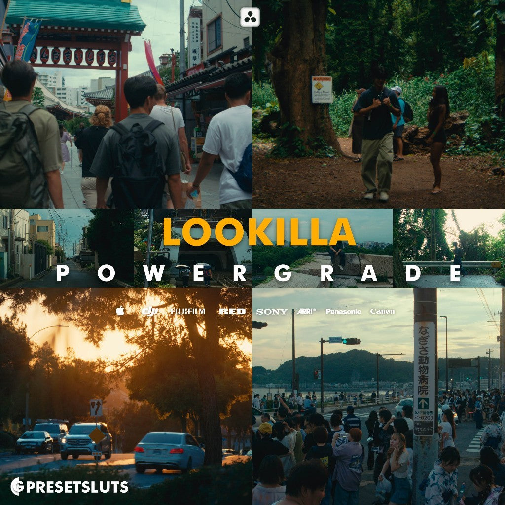PRODHIPO LOOKILLA FILM LOOK EMULATION POWERGRADE DAVINCI RESOLVE[ MICHIGO STUDIO ]