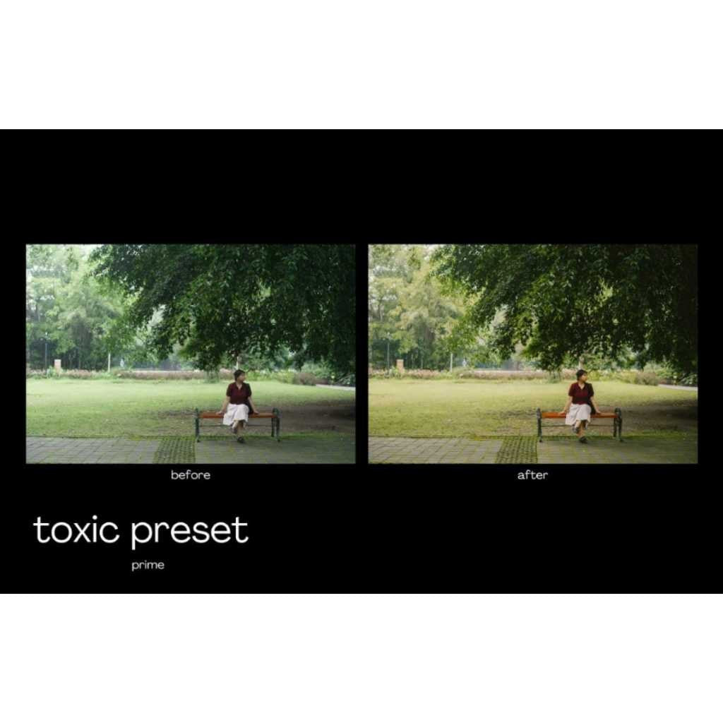 PRESET PRIME GRADUATION by EDITORTOXIC user SONY[ MICHIGO STUDIO ]