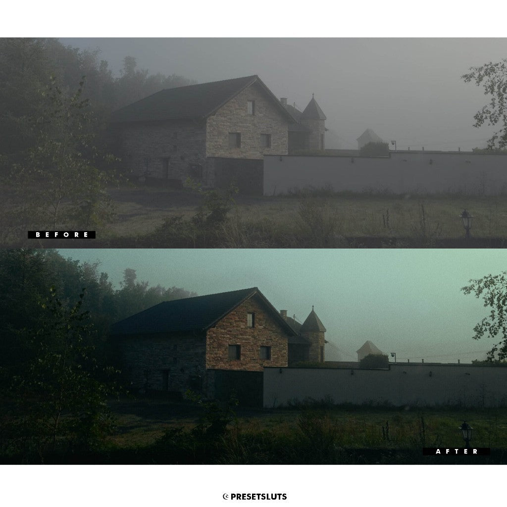 REALFILM POWERGRADE V2 DAVINCI RESOLVE MacOS Windows[ MICHIGO STUDIO ]