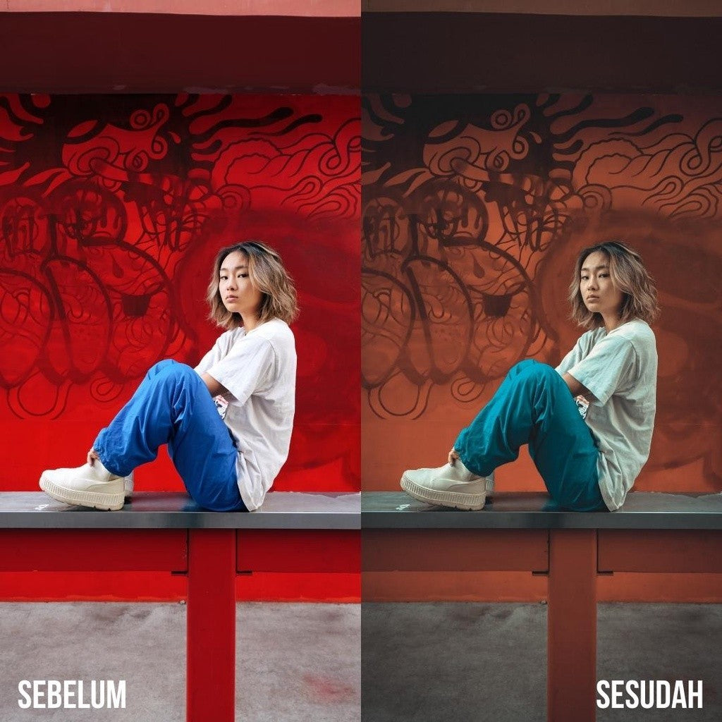 PRESET LIGHTROOM AESTHETIC JAPAN TONE PREMIUM Ver 1 (iOS & ANDROID) - BEST SELLER[ MICHIGO STUDIO ]