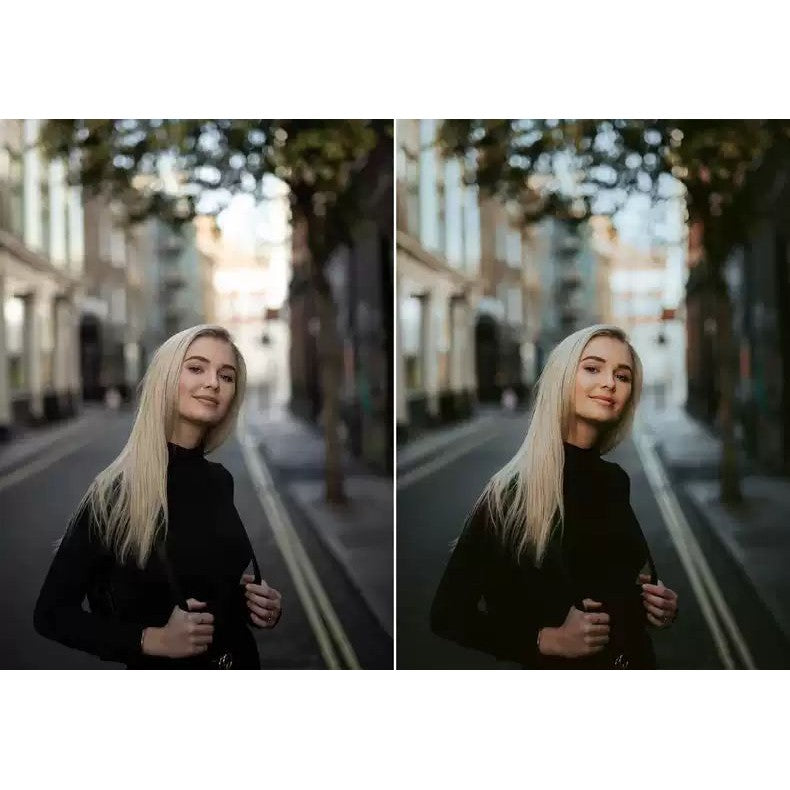 🌍 WithLuke Presets – The Master Collection (150 Presets) | [MICHIGO STUDIO]