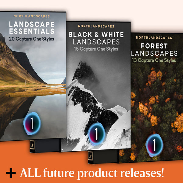 📸 C1 PRESET | Master Collection Capture One B&W, Forest & Landscape Travel Photography [ MICHIGO STUDIO ]