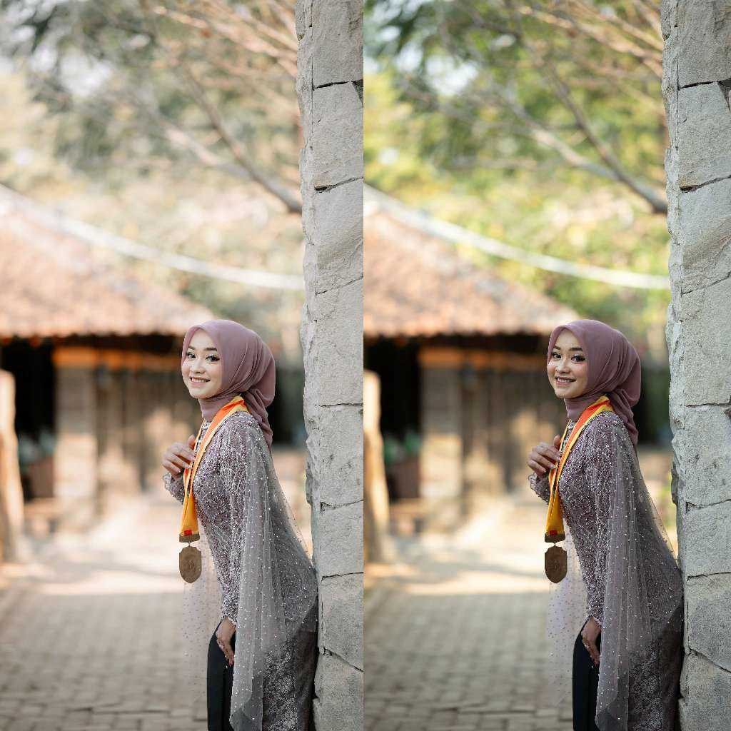 GRADUATION PRESETS FROM THE LEICHA CAMERA[ MICHIGO STUDIO ]