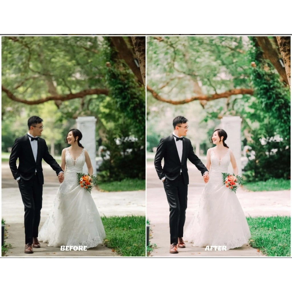 PRESET AND COLLOR PROFILES FUJI FILM COLECTIONS[ MICHIGO STUDIO ]