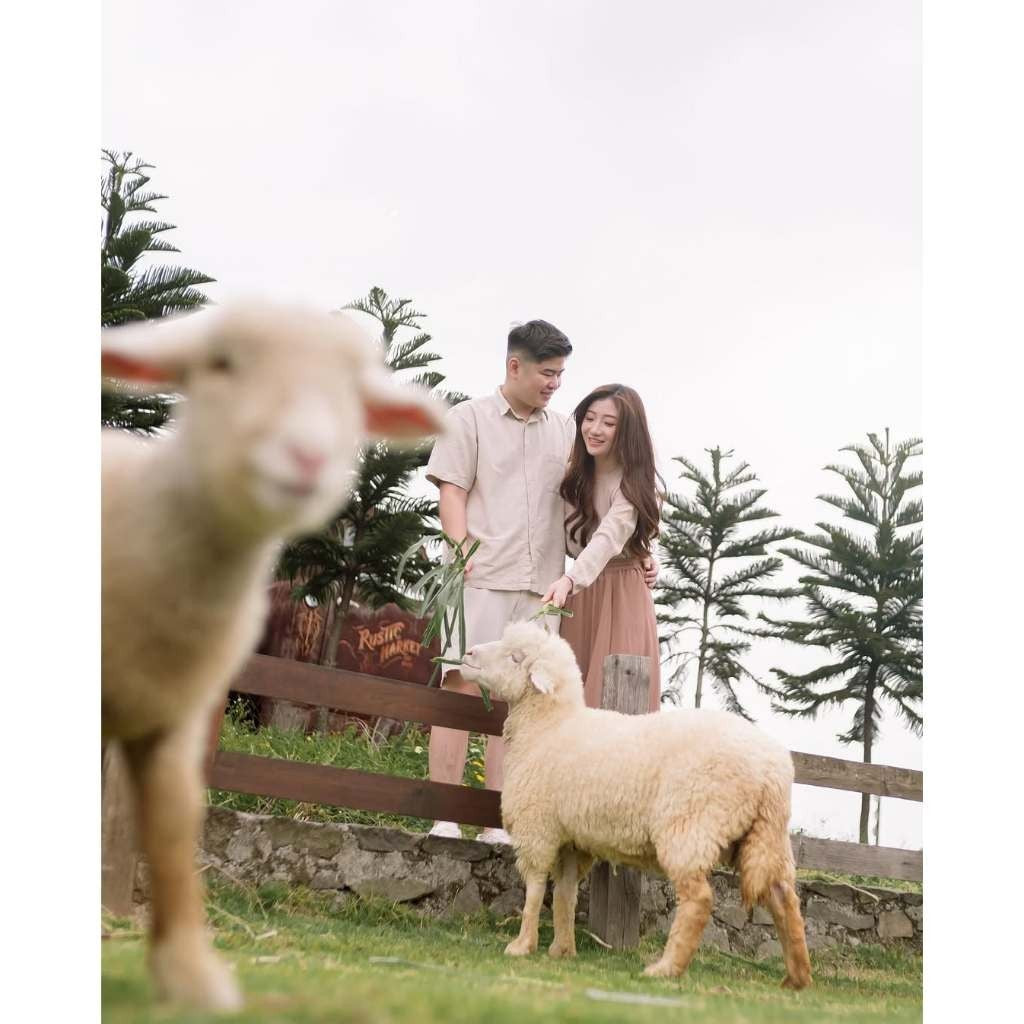 MasA Visual Preset Wedding Dan Prewedding[ MICHIGO STUDIO ]