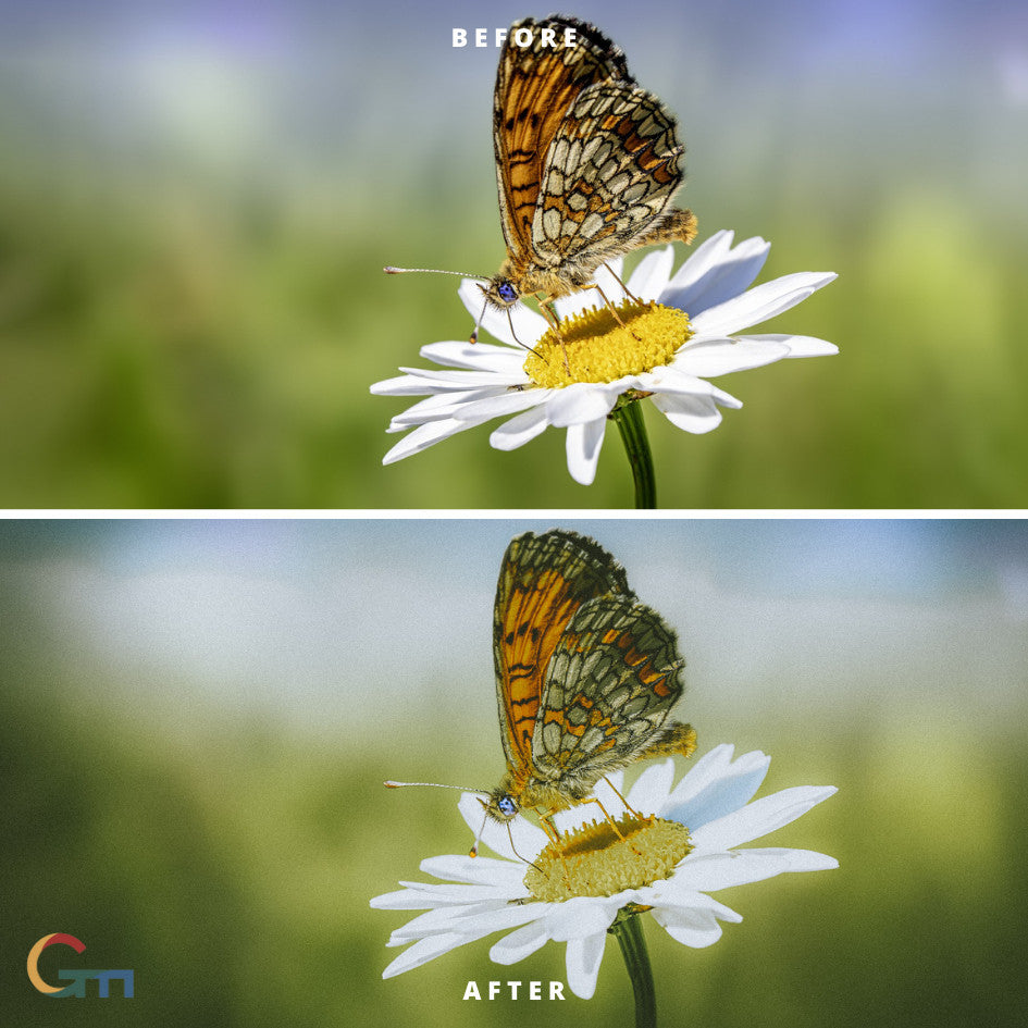 PRESET LIGHTROOM CINEMATIC MILABO AESTHETIC (ANDROID & IOS) presetlightroom[ MICHIGO STUDIO ]