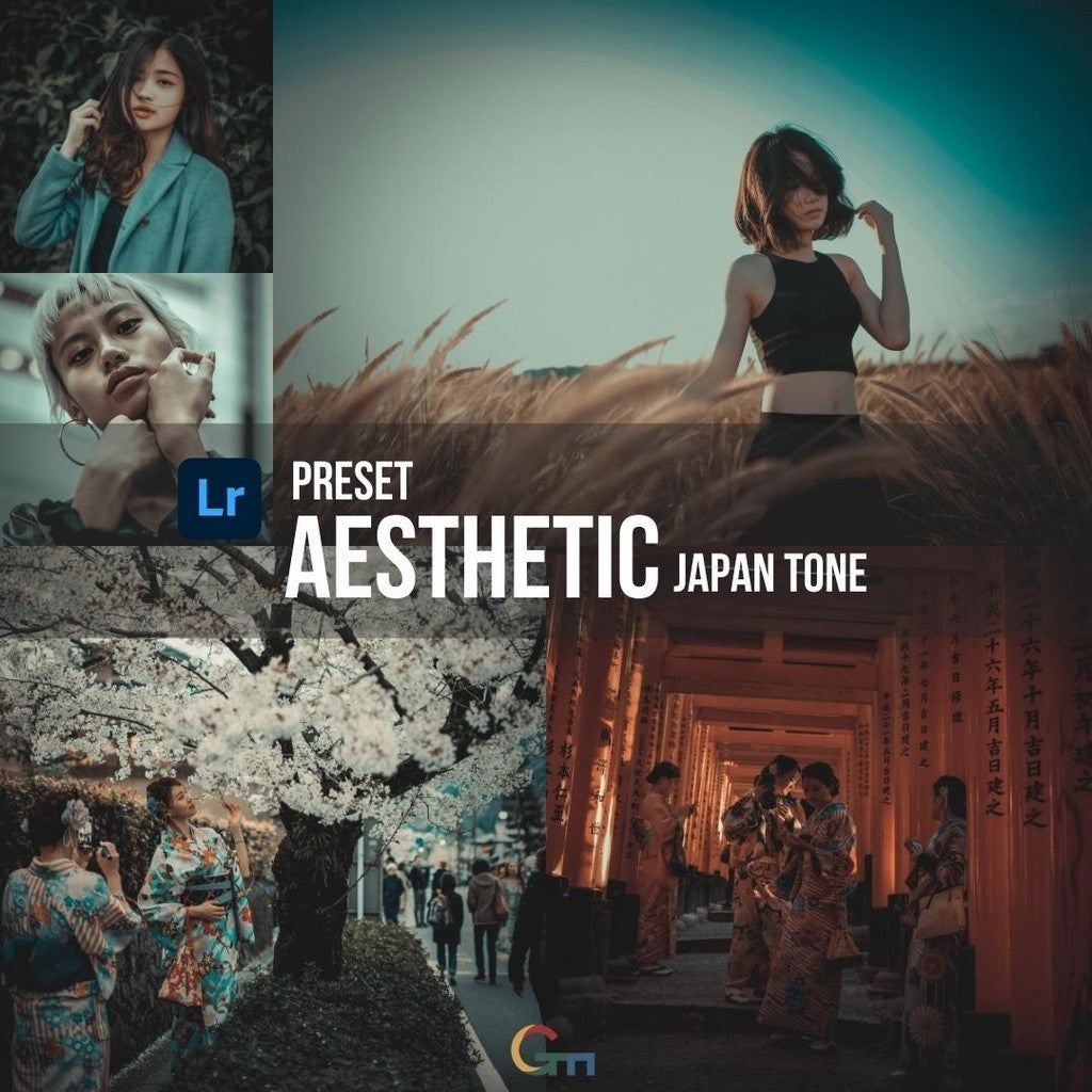 PRESET LIGHTROOM AESTHETIC JAPAN TONE PREMIUM Ver 1 (iOS & ANDROID) - BEST SELLER[ MICHIGO STUDIO ]