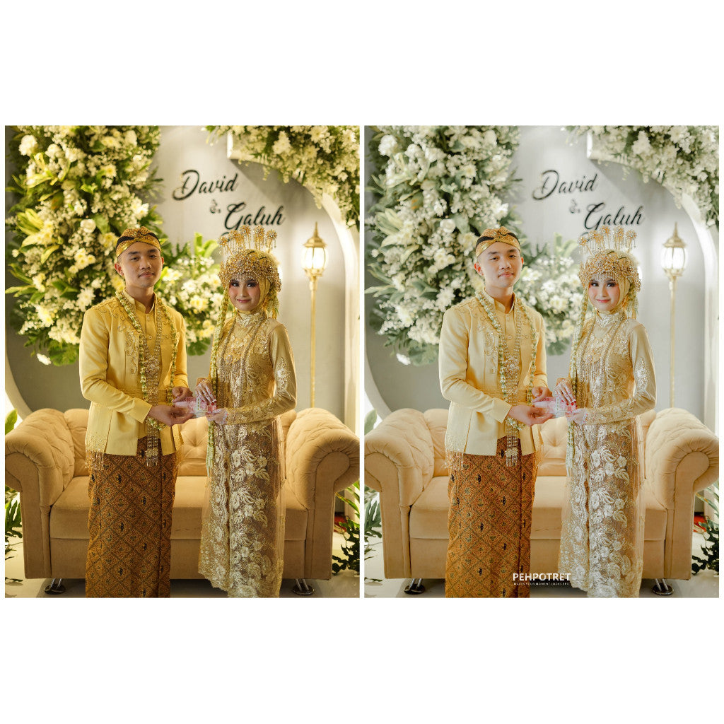 TONE PRESET PEHPOTRET[ MICHIGO STUDIO ]