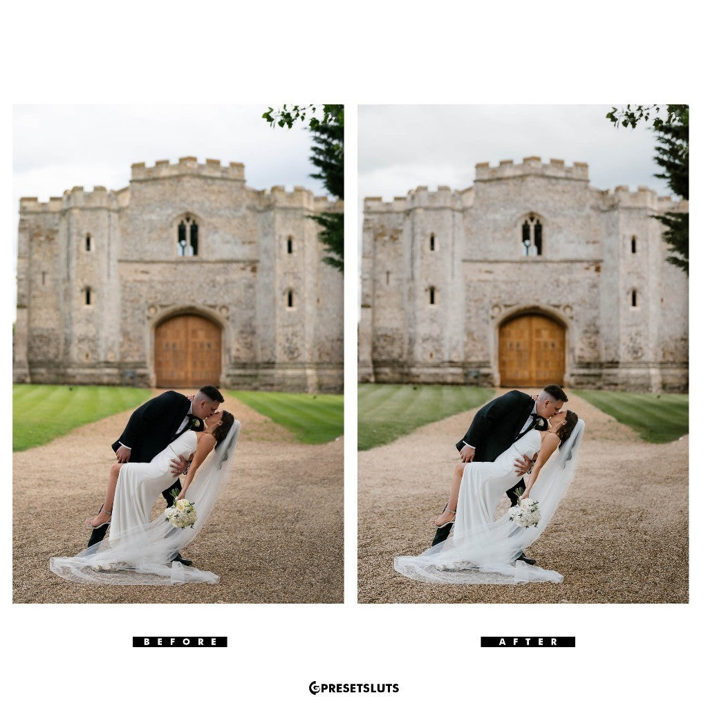 Versatile & Timeless Moon Pack II Lightroom Preset Mobile Desktop IOS Android[ MICHIGO STUDIO ]