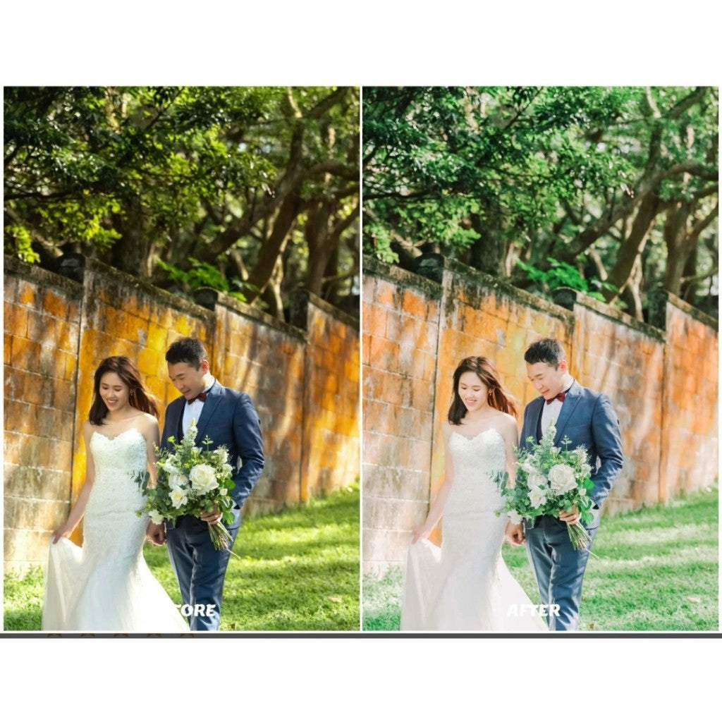 PRESET AND COLLOR PROFILES FUJI FILM COLECTIONS[ MICHIGO STUDIO ]
