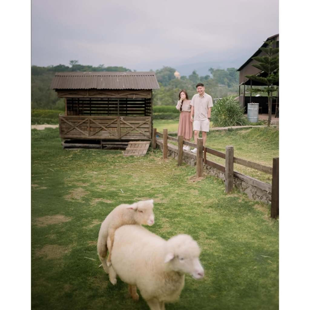 MasA Visual Preset Wedding Dan Prewedding[ MICHIGO STUDIO ]