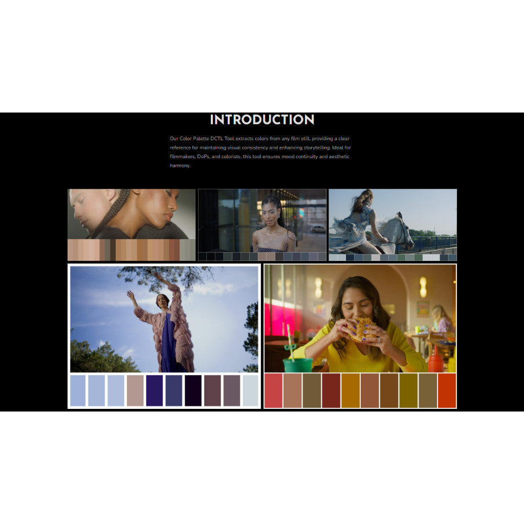 Mononodes - COLOR PALETTE DCTL DAVINCI RESOLVE MacOS Windows[ MICHIGO STUDIO ]
