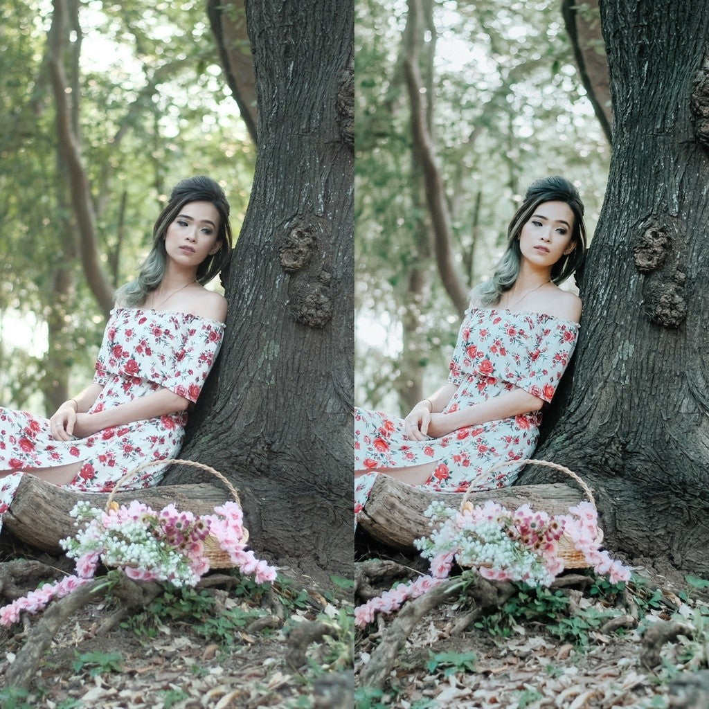 Athena Colorlabs - Presets Hunting 02 V1 For Lightroom (Desktop/Mobile) & Photoshop (ACR)[ MICHIGO STUDIO ]