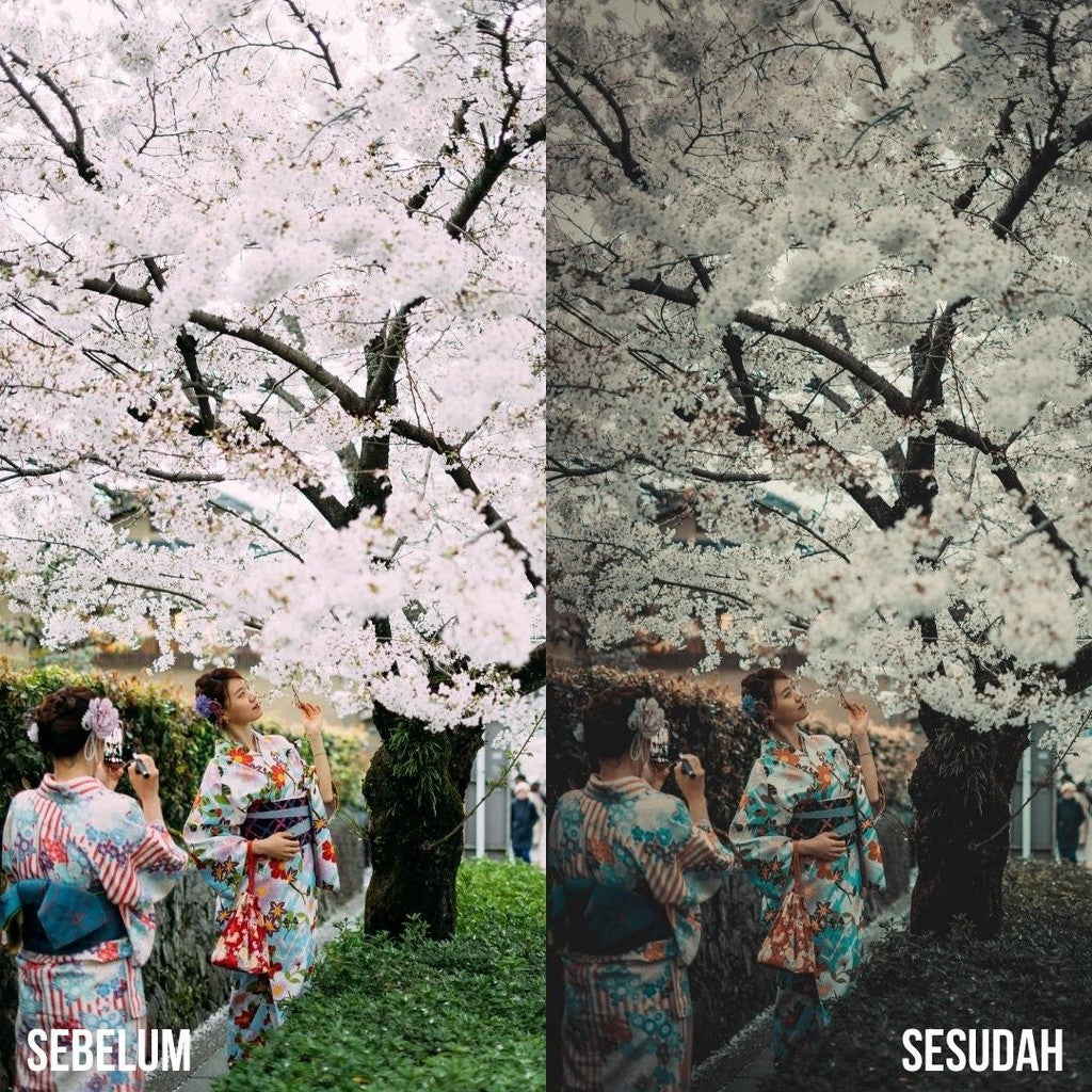 PRESET LIGHTROOM AESTHETIC JAPAN TONE PREMIUM Ver 1 (iOS & ANDROID) - BEST SELLER[ MICHIGO STUDIO ]