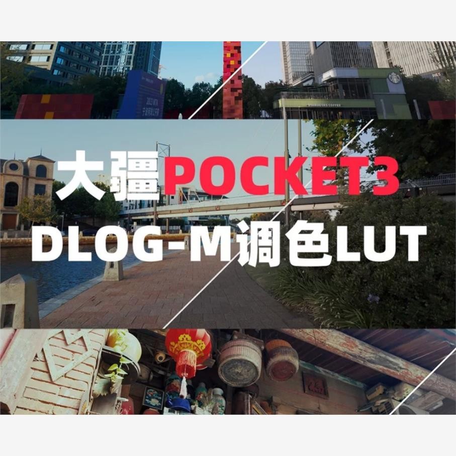 LUT 6732 | 🎥 DJI Pocket 3 Exclusive DLOG-M Grey Film Style LUT for CapCut/PR/DaVinci/FCP