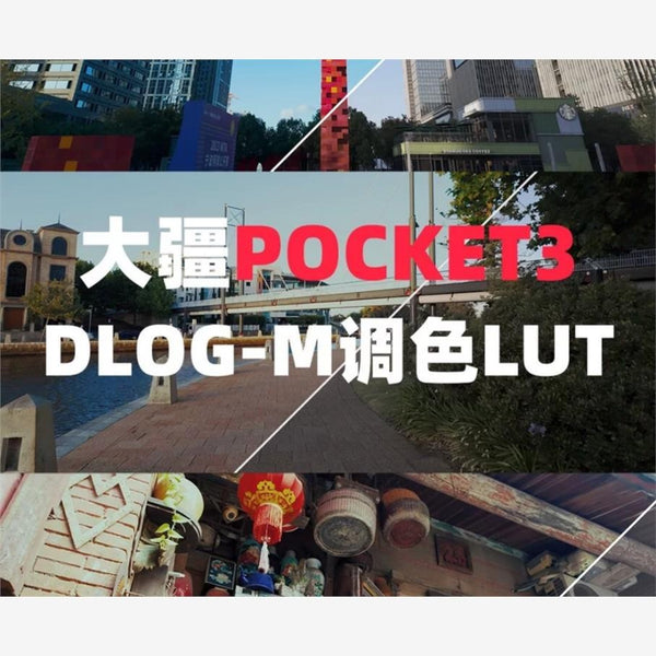 LUT 6732 | 🎥 DJI Pocket 3 Exclusive DLOG-M Grey Film Style LUT for CapCut/PR/DaVinci/FCP