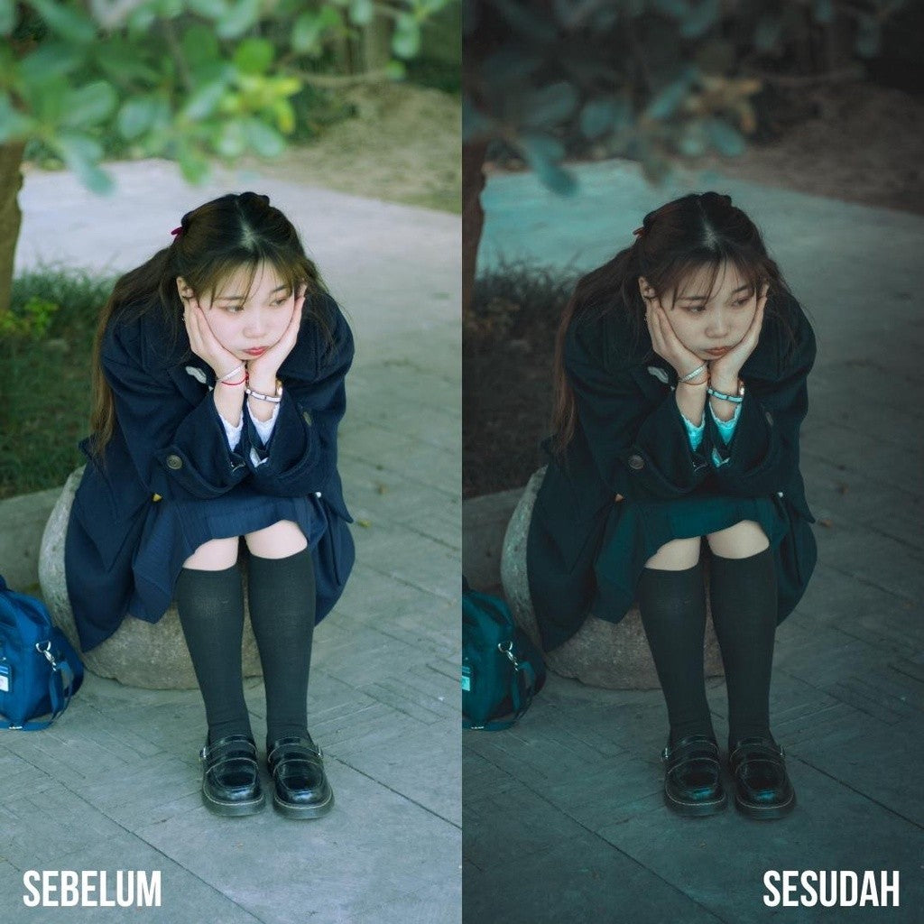 PRESET LIGHTROOM AESTHETIC JAPAN TONE PREMIUM Ver 1 (iOS & ANDROID) - BEST SELLER[ MICHIGO STUDIO ]