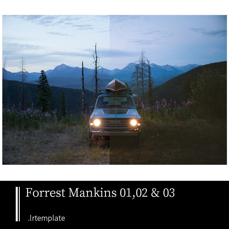 🎨 [LR Preset] Forrest Mankins – outdoor travel, landscape & forest adventure photography [MICHIGO STUDIO] 🌲🏞️📸✨