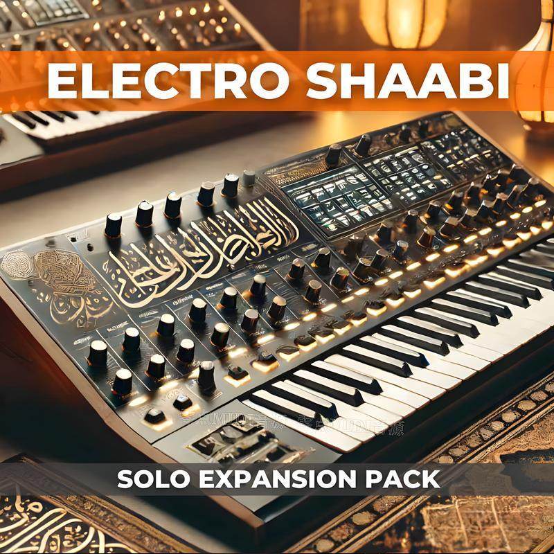 🎶 TAQS IM Solo VST Instrument Middle Eastern Solo Sounds, Silk Road Presets Win Mac [MICHIGO STUDIO]