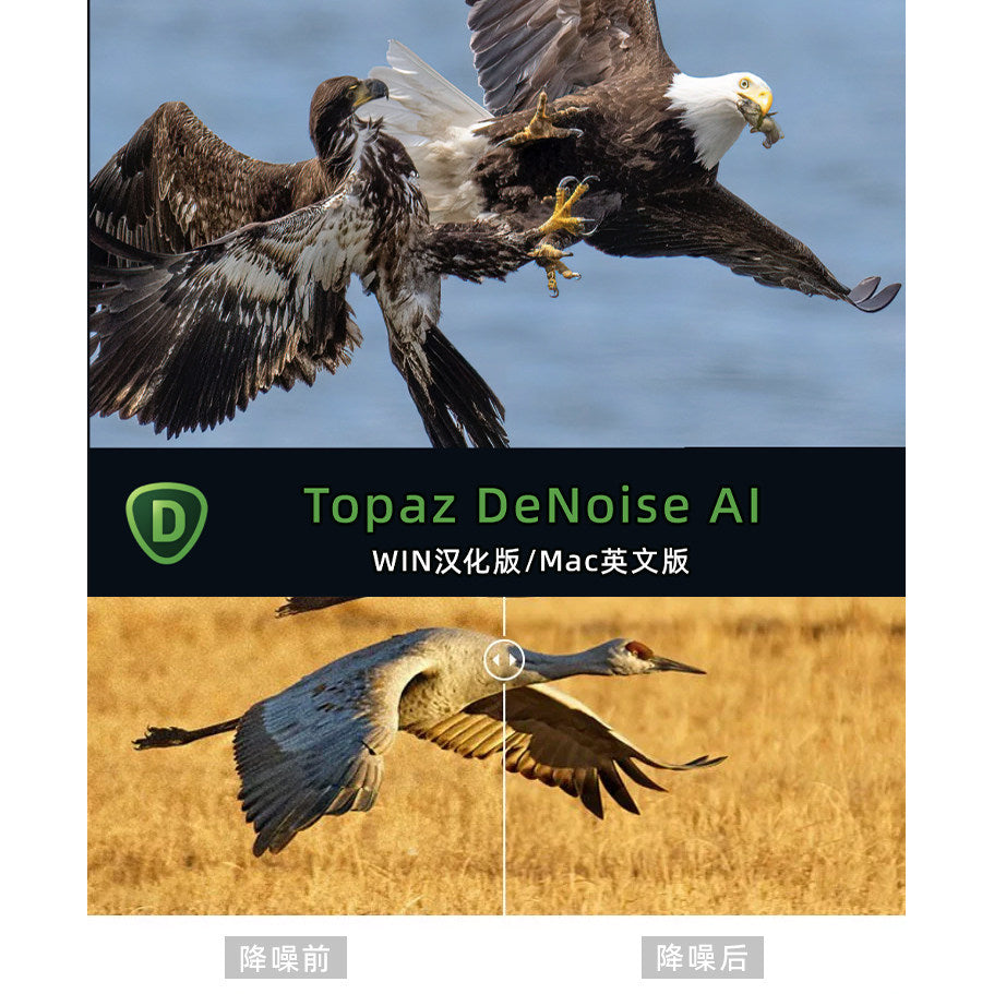 🔇 Topaz DeNoise AI 3.7.2 Plugin One-Click Photo Noise Reduction Filter Win Mac [MICHIGO STUDIO]