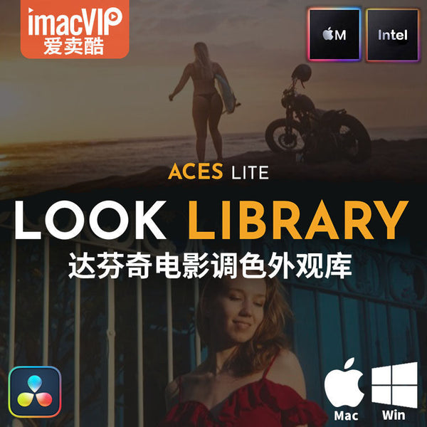 🎨 ACES Lite Look Library DaVinci Film Color Grading Preset Collection [MICHIGO STUDIO]