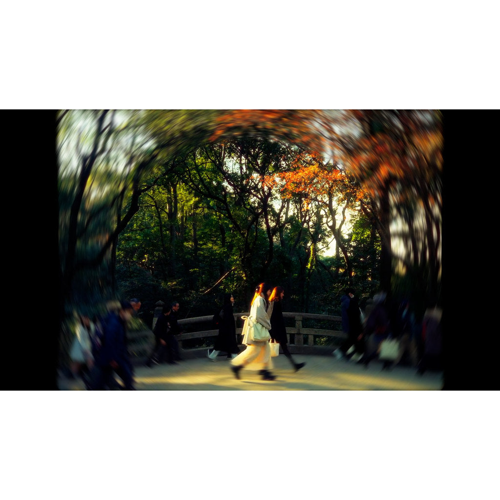 🎛️ [Plugin] FCPX dreamy cinematic focus & blur effects presets – [MICHIGO STUDIO] ✨🎬
