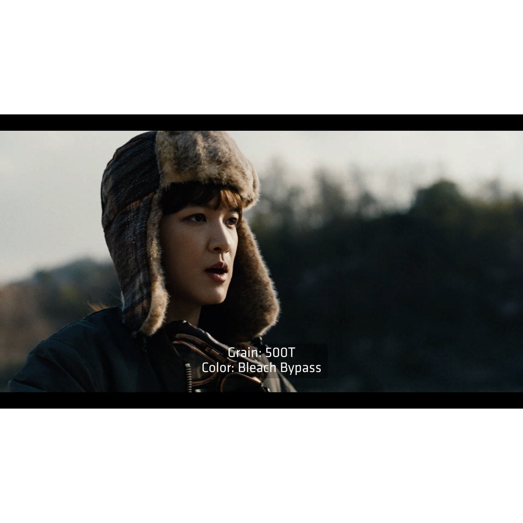 🎛️ [Plugin] DaVinci film color simulation – RE:VisionFX ARRI Film Lab v1.0.2 (Win) [MICHIGO STUDIO] 🎬✨